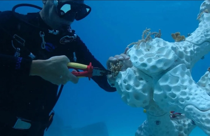 Koralowce z drukarki 3D